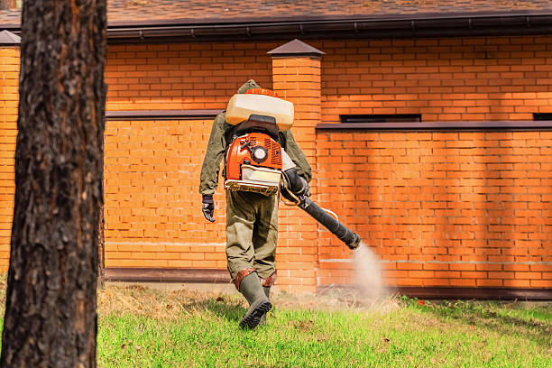 Trusted Termite Control service in Francisville, KY - Nex Pest Control